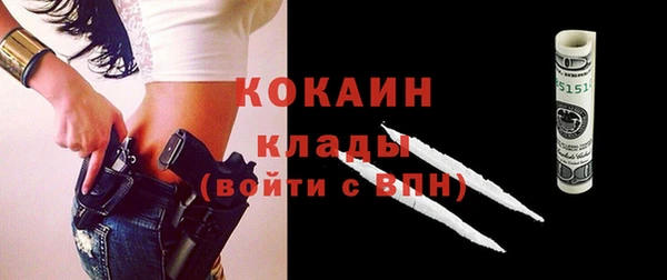 шишки Елизово