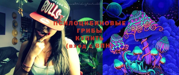 ешки Елабуга