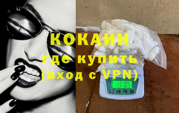 стаф Алзамай