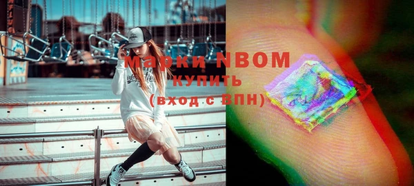 стаф Алзамай