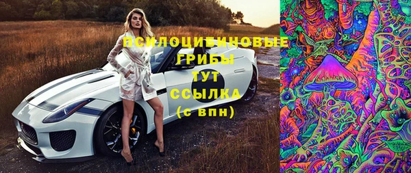стаф Алзамай