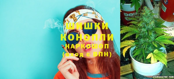 стаф Алзамай
