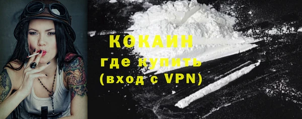стаф Алзамай