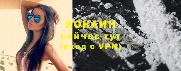 PSILOCYBIN Ельня